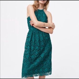 LOFT halter neckline lace midi dress